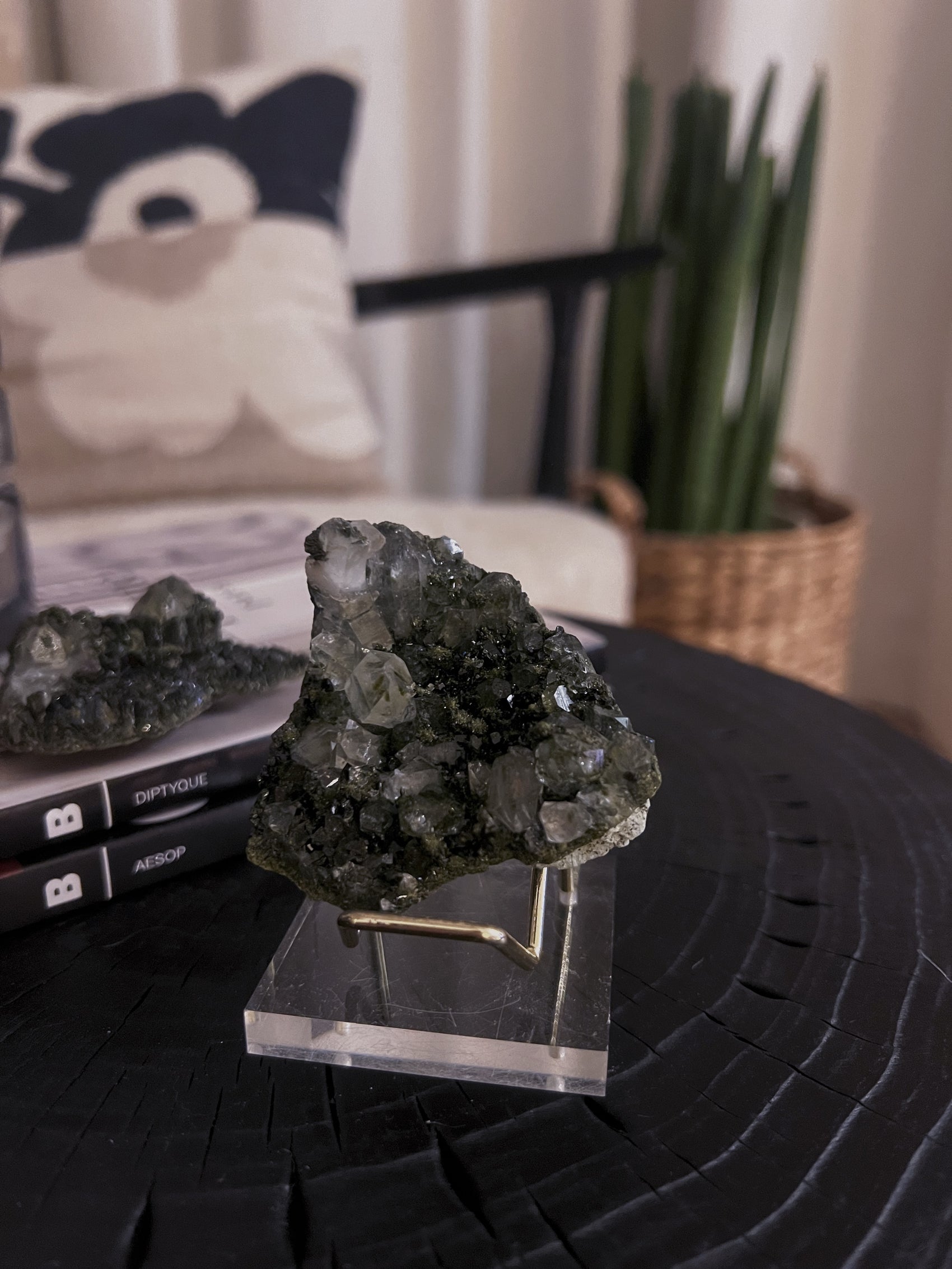 Forest Epidote with Quartz